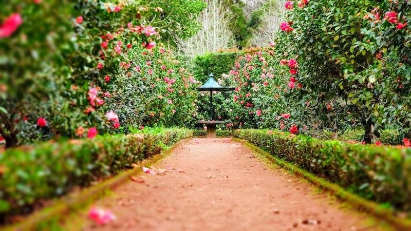 Landscape, Horticulture & Green Maintenance